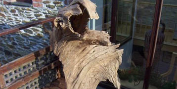 Garden Art Garden Art