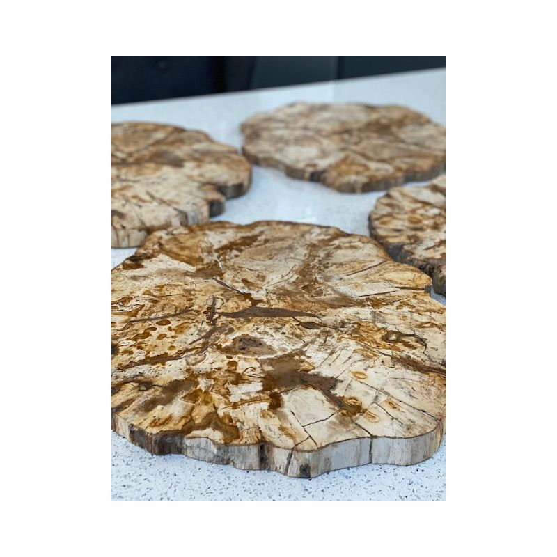 Petrified Teak Chopping Board