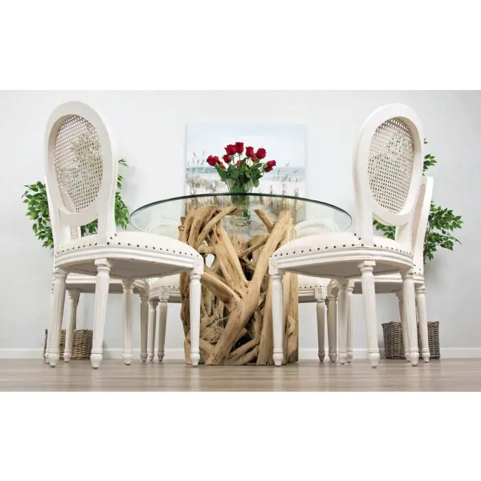 1.2m Java Root Circular Dining Table with 4 Ellena Dining Chairs - 8