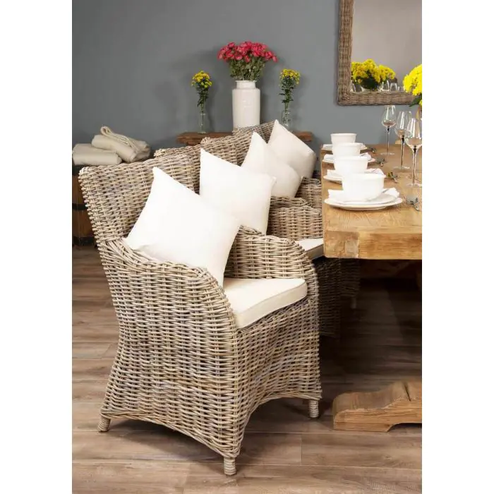 3m Reclaimed Elm Pedestal Dining Table with 8 Donna Chairs - 2