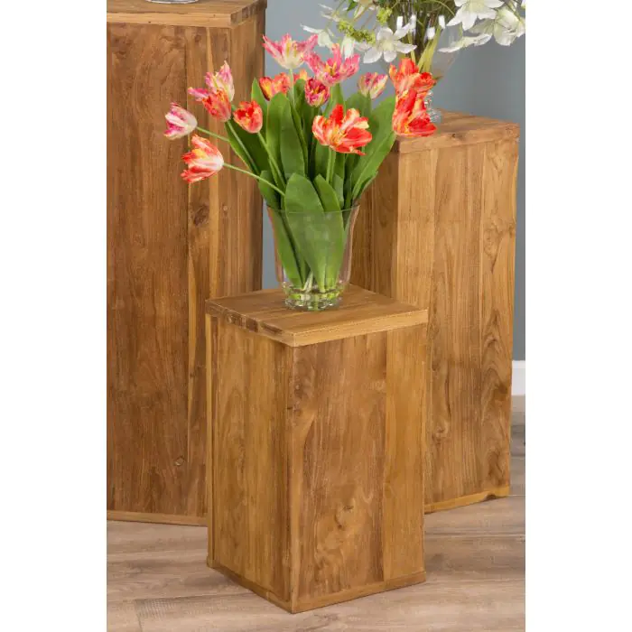 Reclaimed Teak Alana Pedestal - 0
