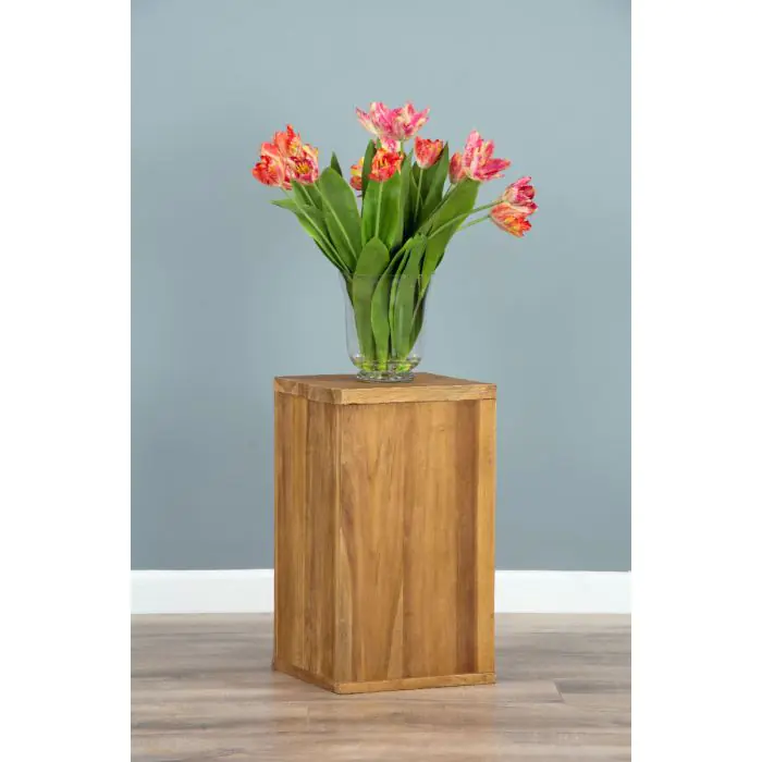 Reclaimed Teak Alana Pedestal - 5