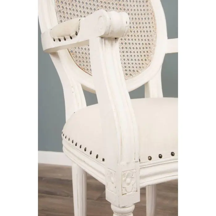 Ellena Dining Armchair - 5