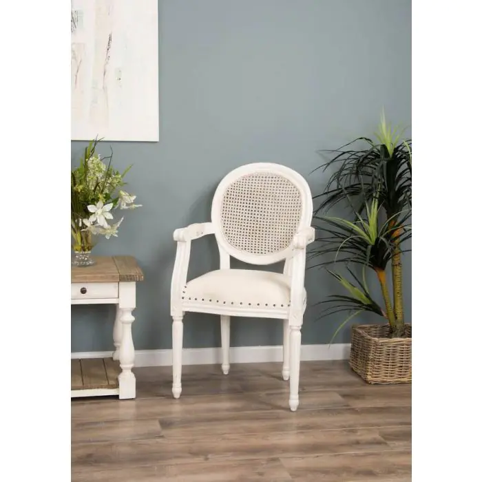 Ellena Dining Armchair - 8