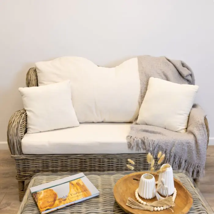 Jumo Natural Wicker Sofa - 1