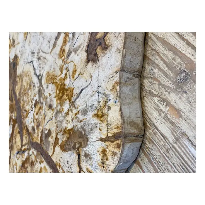 Petrified Teak Chopping Board - 1