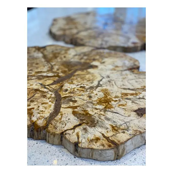 Petrified Teak Chopping Board - 2