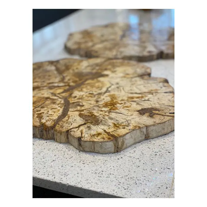 Petrified Teak Chopping Board - 3
