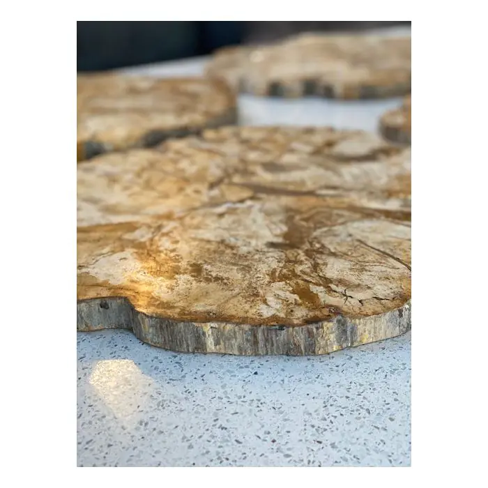 Petrified Teak Chopping Board - 4