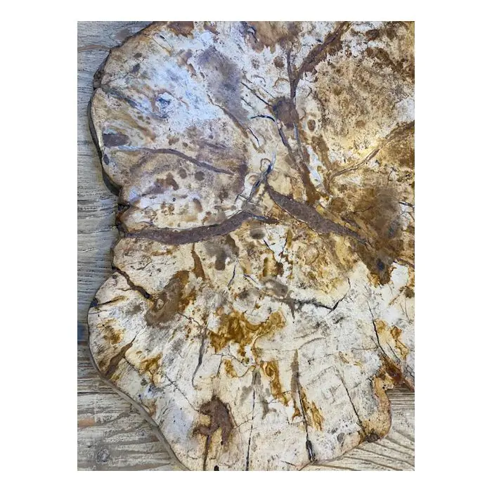 Petrified Teak Chopping Board - 5