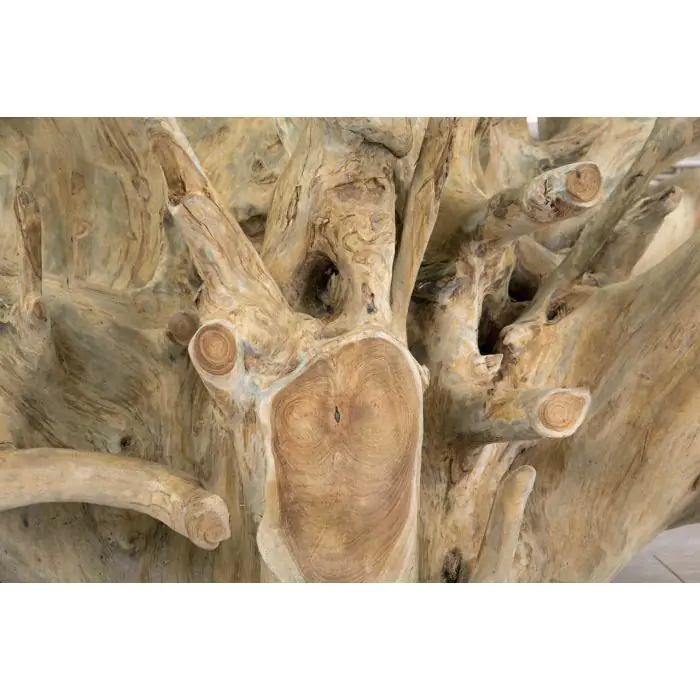 1.2m Reclaimed Teak Root Rectangular Coffee Table - 6