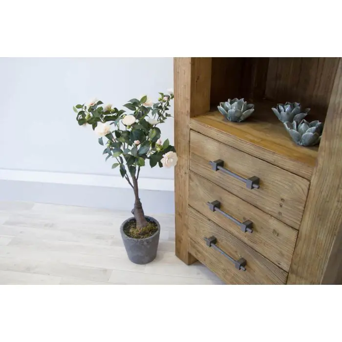 Reclaimed Elm Tall Display Cabinet - 6