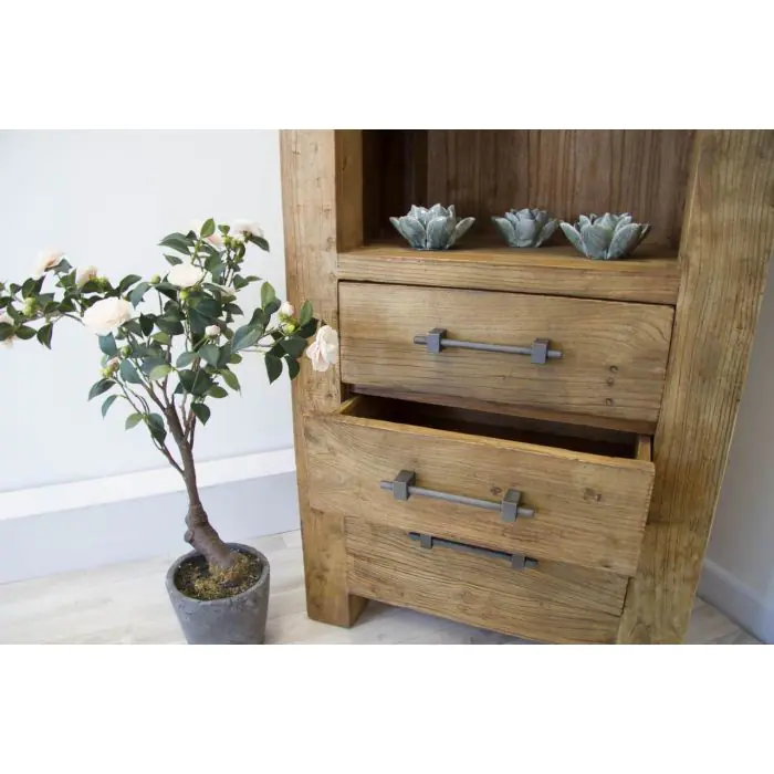 Reclaimed Elm Tall Display Cabinet - 8