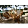 1.5m Reclaimed Teak Root Garden Dining Table with 6 Stackable Zorro Chairs - 2