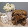 Teak Root Stool / Display Stand - Square - 0