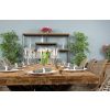 2.4m Reclaimed Teak Urban Fusion Cross Dining Table with 8 Stackable Zorro Chairs  - 9