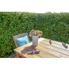 2m Reclaimed Teak Outdoor Open Slatted Table with 2 Backless Benches & 2 Donna Armchairs - 2