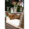 1.5m Reclaimed Teak Root Garden Dining Table with 4 Latifa Dining Chairs - 4