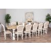 3.6m Ellena Dining Table with 12 Paloma Chairs  - 0