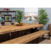 3m Reclaimed Teak Urban Fusion Cross Dining Table with 1 Backless Bench and 5 Zorro Chairs - 6