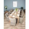 3m Reclaimed Teak Mexico Dining Table with 10 Donna Chairs  - 1