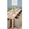 3m Reclaimed Teak Mexico Dining Table with 10 Donna Chairs  - 3