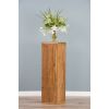 Reclaimed Teak Alana Pedestal - 2