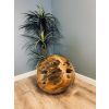 Reclaimed Teak Root Ball - 3 Sizes - 4