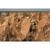 1.2m Reclaimed Teak Root Square Coffee Table - 5