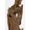 Reclaimed Teak Root Sculpture - 3 Sizes - 1